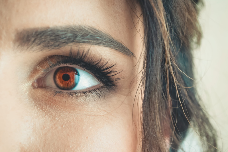 human face, eyesight, beautiful woman, 4K, ukraine, contact lens, human body part, person, young women, close-up, left, portrait, brown, eyelid, hairstyle
