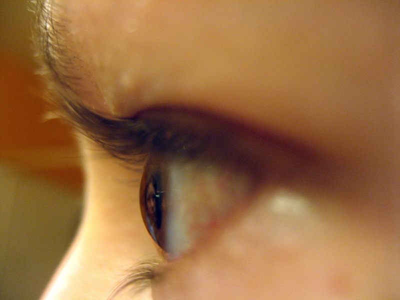 human, eyelids, eyesight, optic, eyebrow, person, eye, human eye, macro, one person, left, profile view, cosmetic, woman, look, lady, eyelid, indoors, female