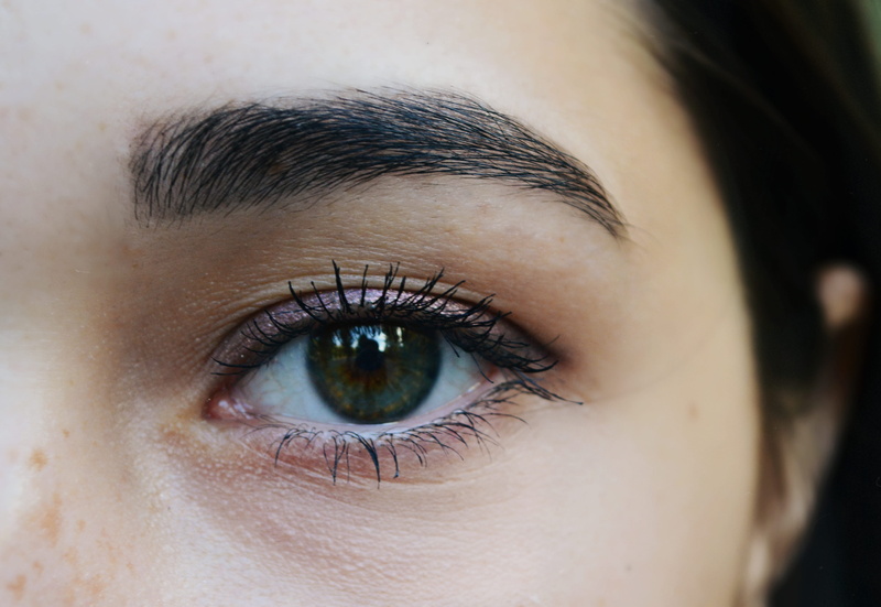 eyelash, left, human eye, eyesight, portrait, human body part, photography, eyebrow, eyeball, iris - eye, sensory perception, women, close-up, eye, one person