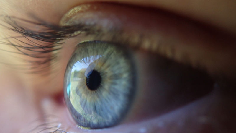 close-up, human body part, sensory perception, human, women, eye, teenager, eyebrow, left, eye closeup, extreme close-up, human eye, beautiful woman, blue eye