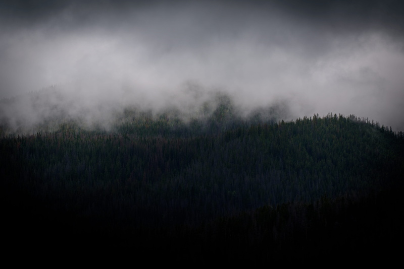 grove, nature, sky, outdoors, mystery, cloud, trees, foggy, smoke, plant, fog, beauty in nature, scenics - nature, misty, thunderstorm, environment, meteorology