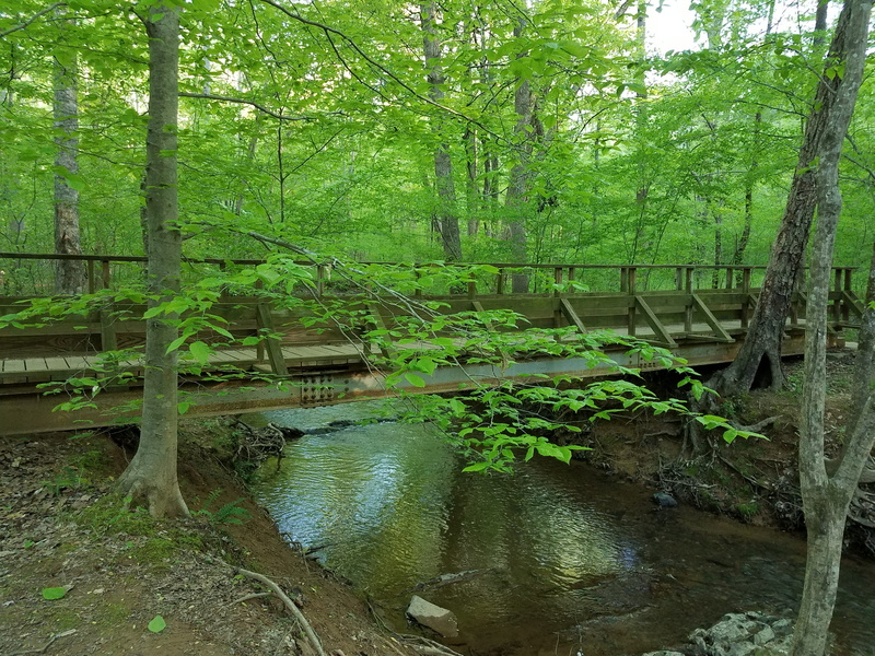 no people, hiking, 4K, creek, wooden bridge, green color, tranquil scene, forest bathing, land, mill, stream - flowing water, united states, trees, connection