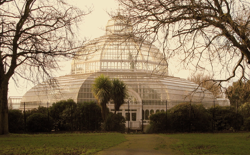 plant, the past, grass, sefton, facade, public domain, no people, Liverpool, day, government, bare tree, architecture, courthouse, architecture And Buildings