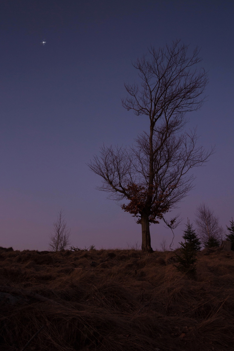 field, blautöne, isolated, beauty in nature, romance, dusk, sky, atmosphere, blue, mood, scenics - nature, 4K, abendstimmung, outdoors, beautiful, blue hour