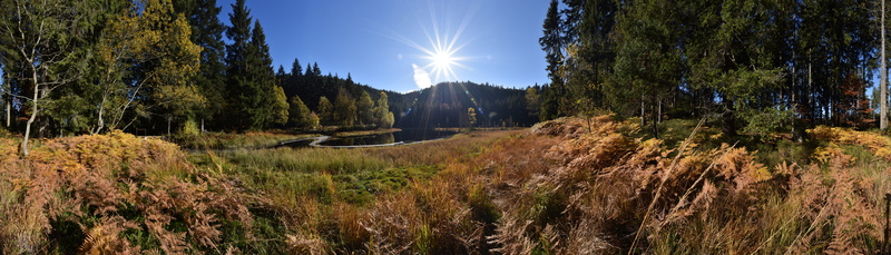 trees, landscape, panorama, daytime, buhl lake, forest, field, environment, mountain, lens flare, plant, non-urban scene, waldsee, lake, sun, panoramic