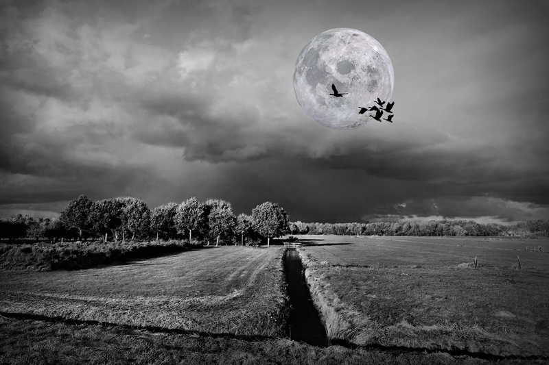direction, mid-air, ditch, scenics - nature, surreal, sky, mood, fantasy, skies, transportation, the way forward, moon, fields, tranquil scene, landscape