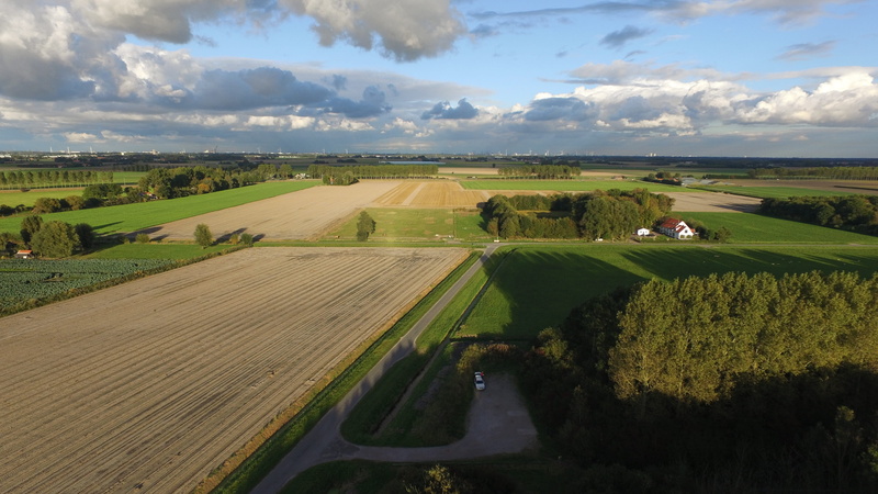 growth, rural scene, environment, field, polder, air, scenics - nature, view, netherlands, idyllic, green color, nature, tree, farm, tranquility, 4K, dutch landscape