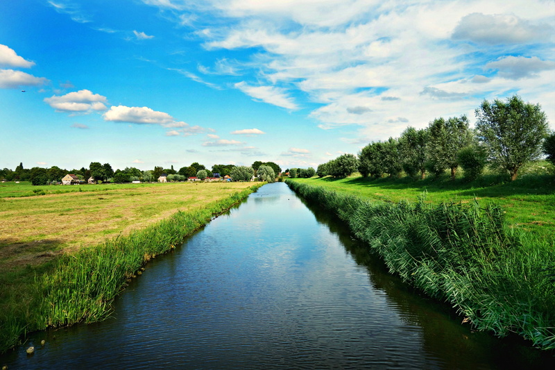surrounded, outdoors, green color, environment, landscape, rural scene, beauty in nature, 4K, no people, tree, countryside, river, plant, polder, rural