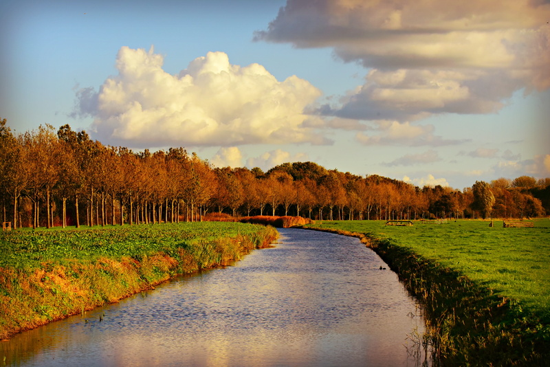 scenics - nature, cloud - sky, grass, field, sky, countryside, plant, water, tranquility, trees, canal, waterway, tree, no people, outdoors, forest edge