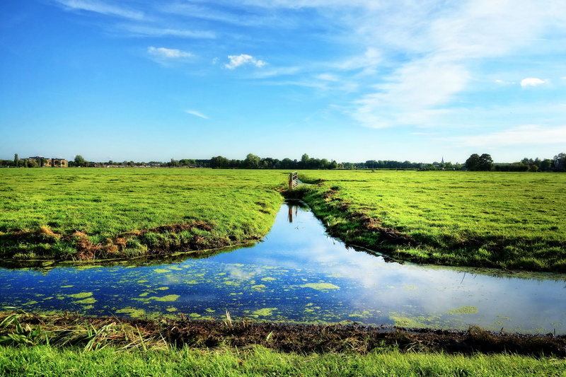 4K, sunny day, water, cloud - sky, land, outdoors, dutch landscape, green color, grass, beauty in nature, tranquil scene, waterway, meadows, polder, farmer