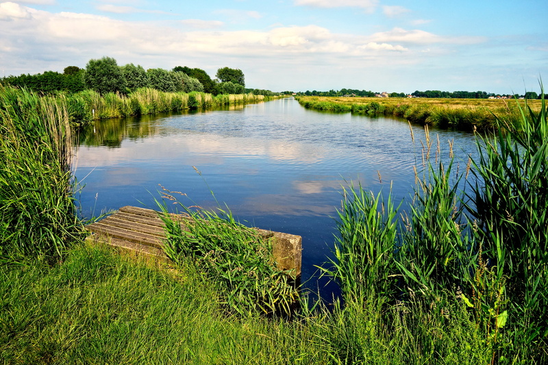 dutch landscape, nature, waterway, non-urban scene, rushes, 4K, peaceful, polder, green color, lake, sky, netherlands, rural, day, plant, landscape, reflection