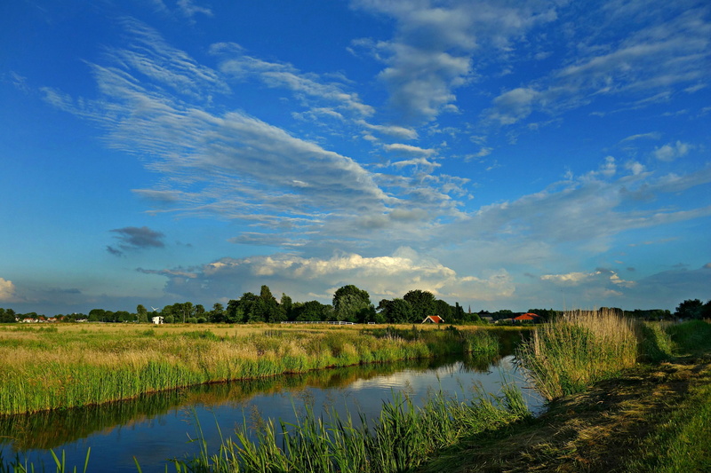 outdoors, nature, reflection, dutch landscape, land, beauty in nature, lake, rural, 4K, tranquil scene, Landscape, tree, waterway, sky, plant, water, scenics