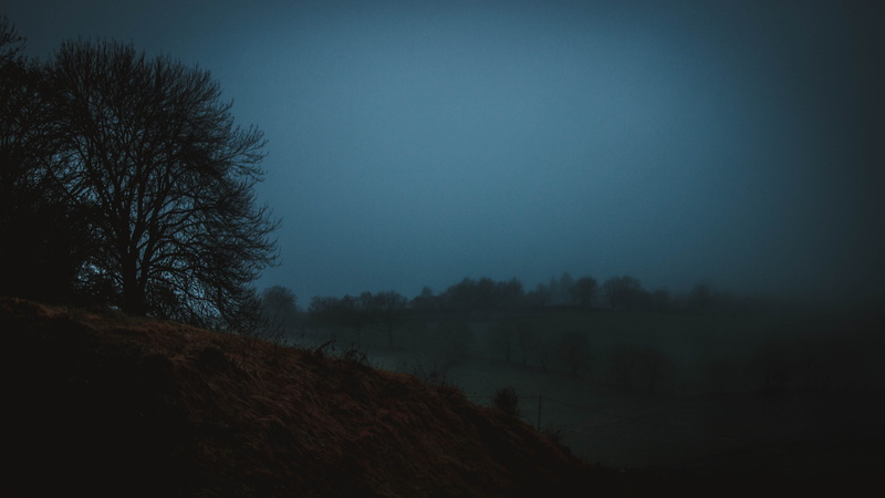 copy space, field, plant, mysteriou, winter, brown, land, blue, fog, green, night, outdoors, landscape, silhouette, dusk, beauty in nature, sky, dark, clear sky