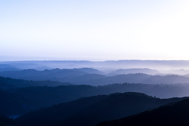 fog, scenics - nature, daytime, silhouette, morning, tree, idyllic, sunlight, sky, sunset, covered, sea, mountain, 4K, no people, sun, color, mountains