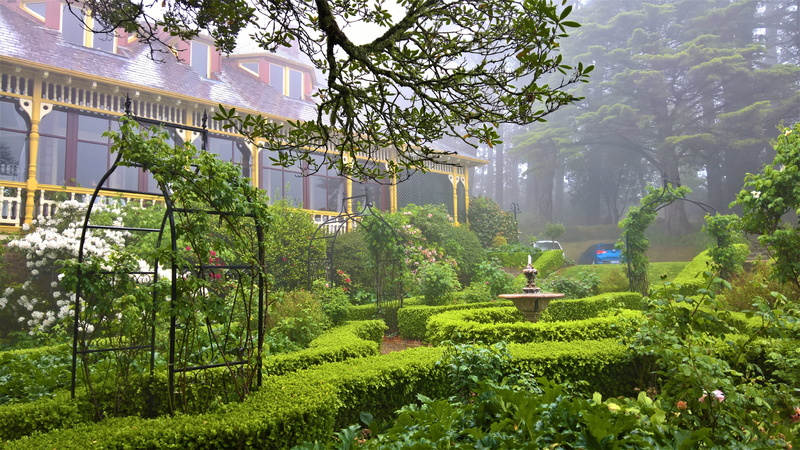 romantic, katoomba, resort, lilianfels resort, misty, australia, lilianfels blue mountains resort, 5K, 5k, mist, garden, hotel, 5k uhd
