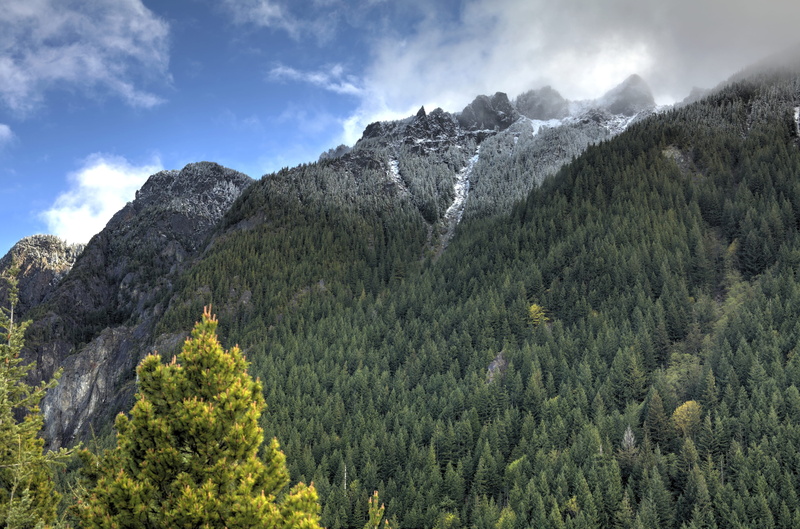 growth, hill, forest, beauty in nature, woodland, hiking, outdoors, mountain, cloud, sky, fir, environment, evergreen tree, non-urban scene, cloud - sky