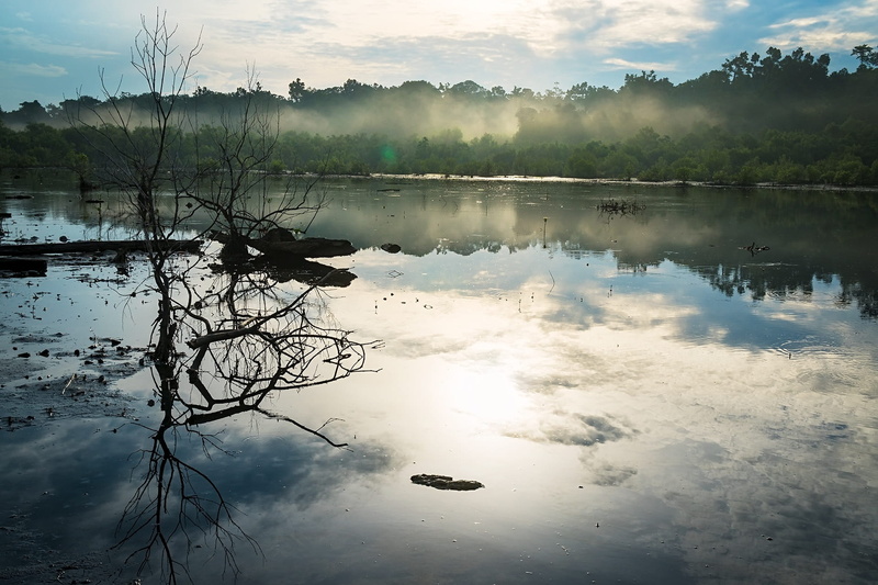 scenics - nature, lake, swamp, bog, scenery, reflection lake, environment, outdoors, water, light, silhouette, non-urban scene, blue, reflection, calm