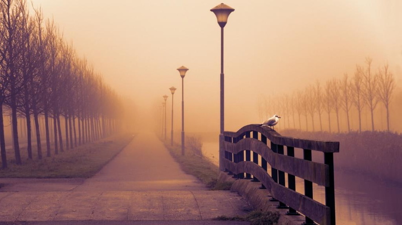 photography, 480P, day, foggy, river