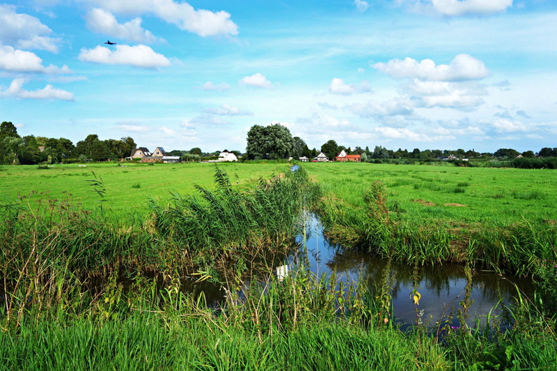 rural scene, holland, plant, outdoors, environment, green color, rural, growth, netherlands, middelpolder, polder, water, landscape, nature, amstelveen