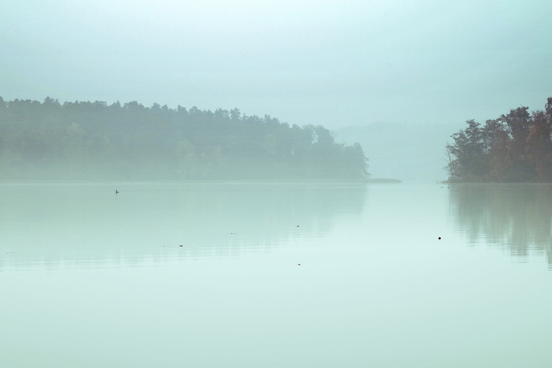 fog, reflection, no people, sky, pond, climate, lake, scenics - nature, the silence, landscape, tranquility, dawn, peace of mind, poland, the fog, forest