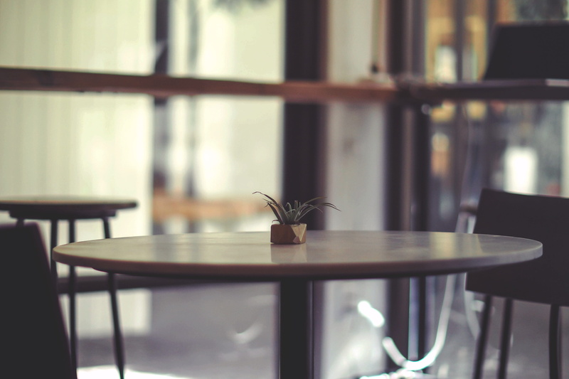 lakeland, day, animal themes, invertebrate, concord coffee company, animals in the wild, insect, chair, animal wildlife, focus on foreground, plant, animal wing