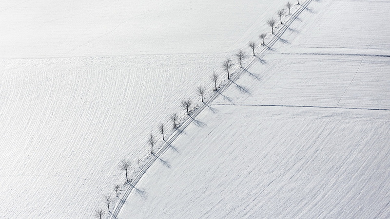 1080P, nature  field  shadow  road  simple  white  dead trees  branch  birds eye view  winter  landscape  aerial view  trees  monochrome  snow
