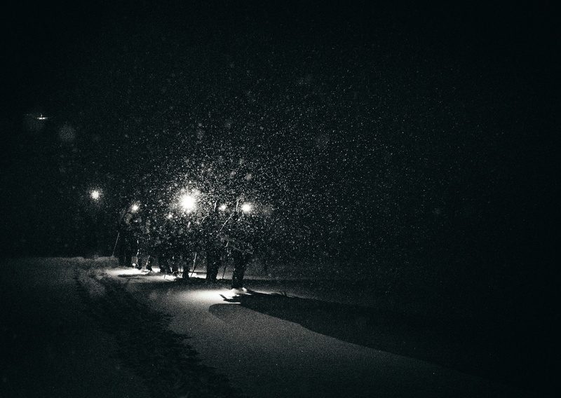 tree, climb, dark, outdoors, californium, shastum, light, city, mountain, motor vehicle, plant, black and white, hiker, climbing, winter, no people, hike