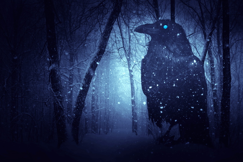 season, extreme weather, dark, blue, silhouette, woodland, 5K, surrounded, forest, land, blizzard, backgrounds, beauty in nature, bare tree, photo, winter