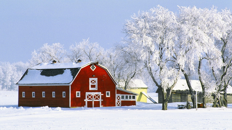 winter, snow, barn, 1080P, nature, trees, hd