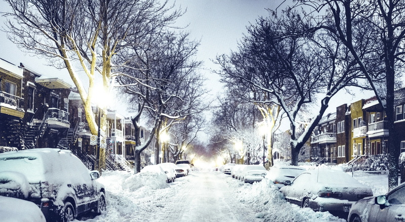 motor vehicle, land vehicle, tree, extreme weather, street, bare tree, snowing, transportation, leafless, Seasons, Snow, building exterior, car, Winter