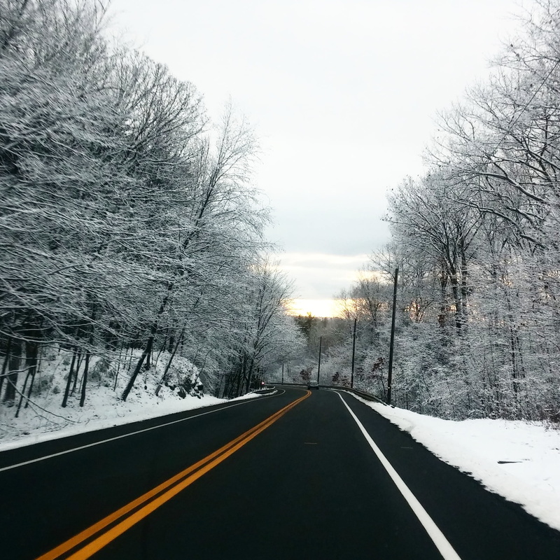 sign, double yellow line, road marking, tree, marking, weather, scenics - nature, forest, direction, winter, outdoors, diminishing perspective, dividing line