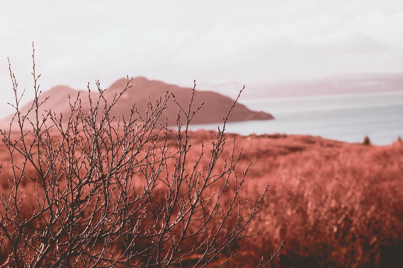 water, tranquility, bokeh, photography, tranquil scene, idyllic, selective, scenics - nature, sky, beauty in nature, leafless, 5K, daytime, outdoors, cloud - sky