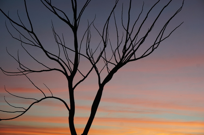 environment, cloud - sky, orange color, leafless, orange, spirit, 5K, sangkhlaburi, tree, heal, sunset, night, outdoors, plant, branches, dead plant, no people