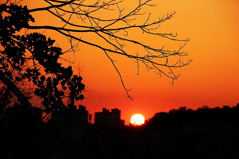orange Color, red, romantic sky, hope, tree, sunset, no people, autumn, cloud - sky, power, feel, golden, building exterior, outdoors, architecture, sunshine