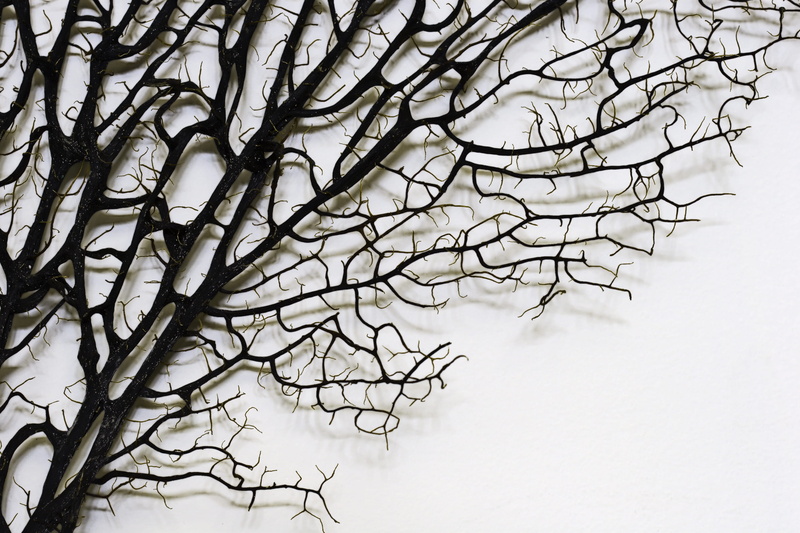 art, low angle view, still life, brown, scenics - nature, black and white, white color, sky, backgrounds, bare tree, outdoors, cold temperature, environment