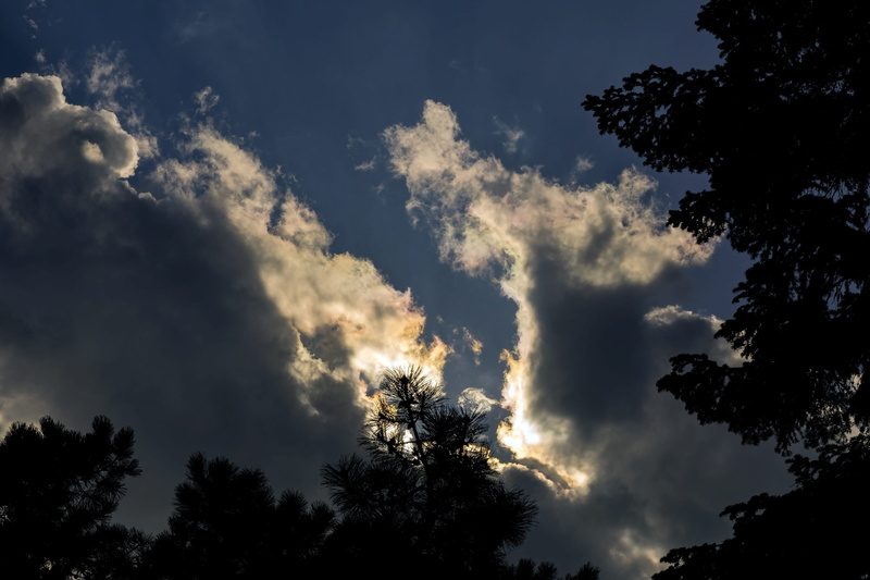 sunlight, in the evening, panorama, bright, the atmosphere, sunset, power in nature, twilight, scenics - nature, beauty in nature, tree, nature, low angle view