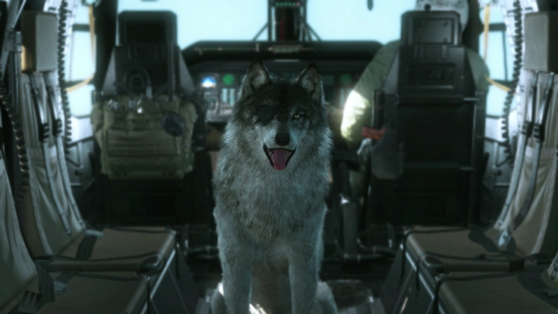 car, domestic animals, transportation, animal wildlife, 1080P, focus on foreground, Metal Gear Solid, mode of transportation, domestic, one animal, mouth open