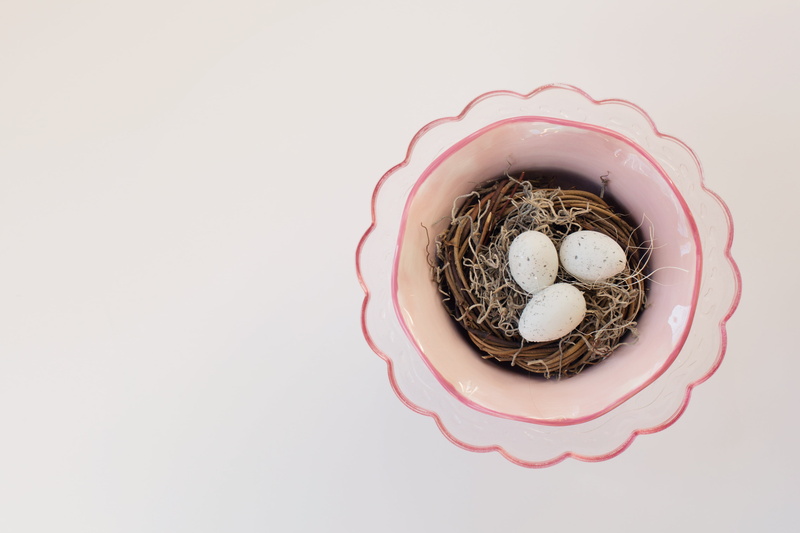 sweet, birds nest, food, indoors, spring, copy space, still life, close-up, no people, freshness, celebration, high angle view, white, easter, nest, pink