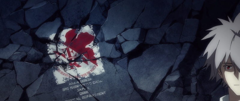white color, breaking, crime, social issues, damaged, no people, emotion, crumpled paper ball, aggression, patriotism, demolished, sign, cracked, fracture