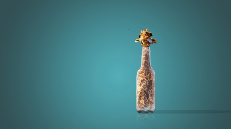 bottles, giraffes, 1080P, tongues
