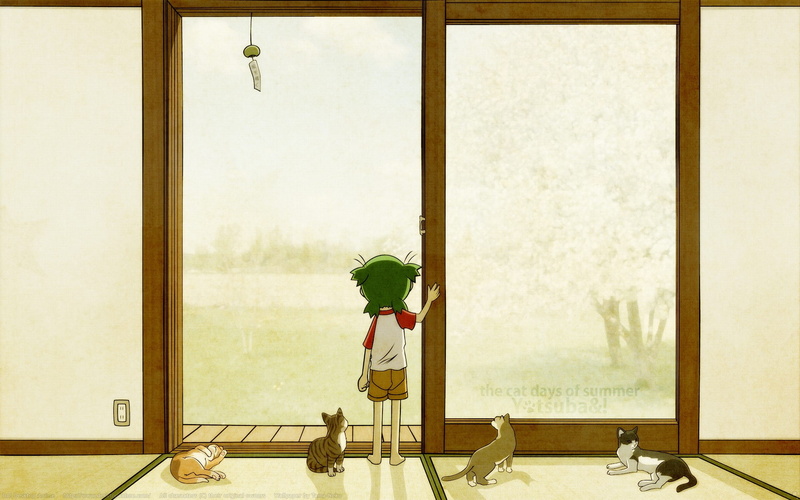 transparent, boys, nature, anime, cat, offspring, uniform, childhood, table, casual clothing, window, full length, child, Yotsubato, real people, indoors