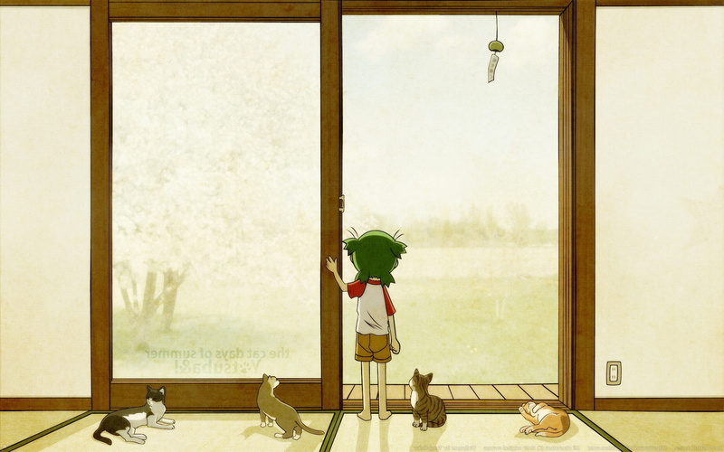 1080P, transparent, plant, human representation, seat, window, glass - material, built structure, absence, people, indoors, table, offspring, nature, representation