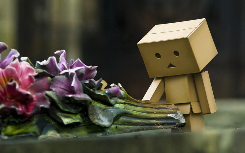 flower, no people, focus on foreground, vegetable, close-up, food and drink, plant, cardboard, wellbeing, food, creativity, 1080P, art and craft, selective focus