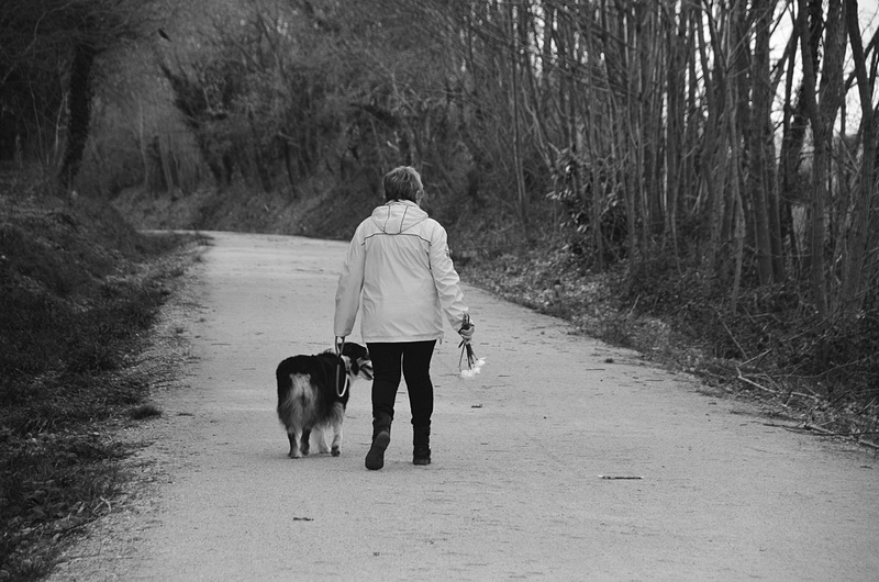 outdoors, plant, domestic animals, animal, direction, noir et blanc, pets, mammal, 4K, canine, diminishing perspective, dame, one person, rear view, pet owner