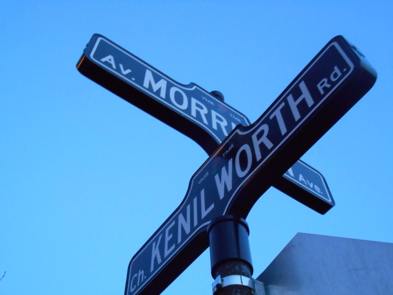 paneau, low angle view, ville, 4K, symbol, av, tmr, limire, direction, sign, rue, no dog, guidance, pas de chien, road, day, street name sign, rd, communication