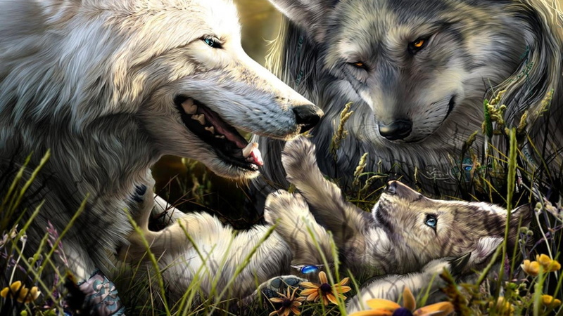 domestic animals, nature, animal themes, Familie, vertebrate, two animals, mouth, group of animals, canine, day, mouth open, aggression, Hund, dog, mammal