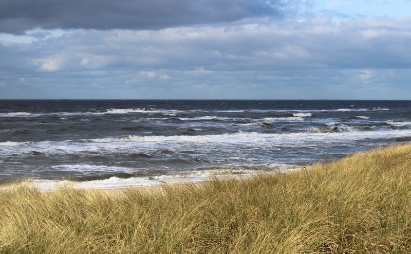 land, tranquility, Kuste, nature, horizon over water, cloud - sky, green, north, Landscape, scenics - nature, nordsea, Europe, day, tranquil scene, 4K