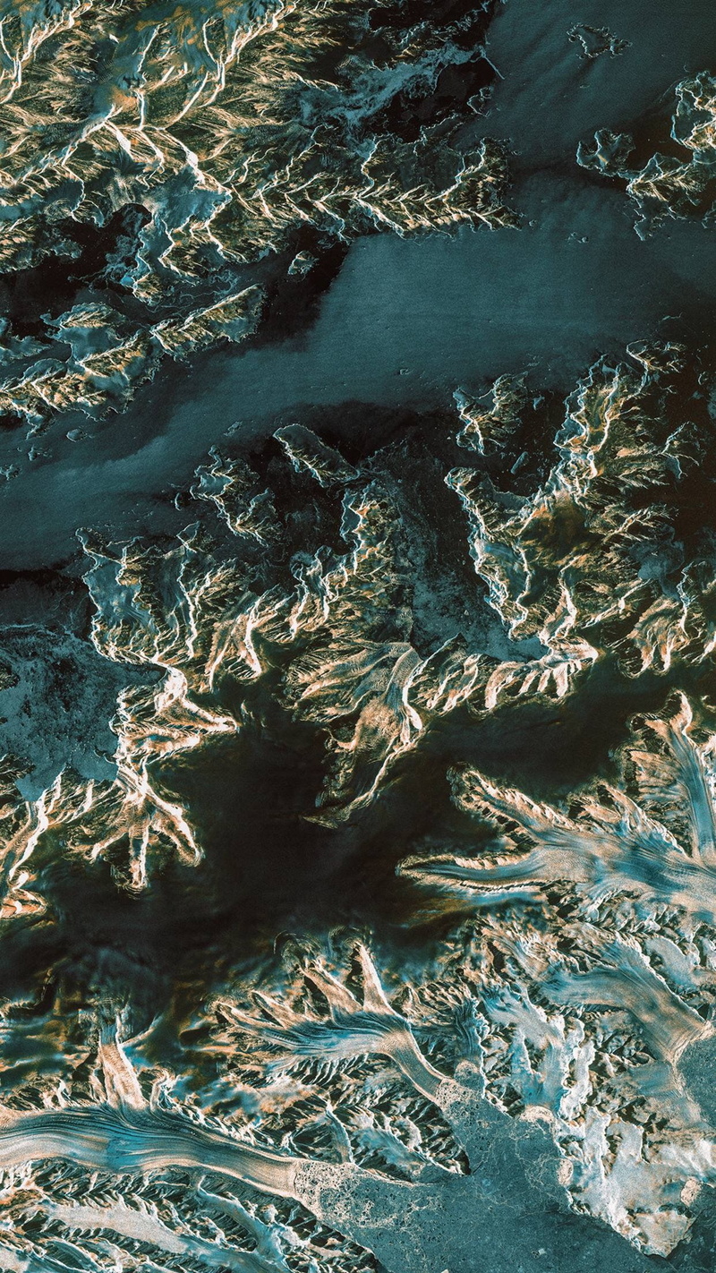 view, hd, x, vertical, 1080P, bugs, 1242x2208 px, animals, art, aerial view, px, aerial