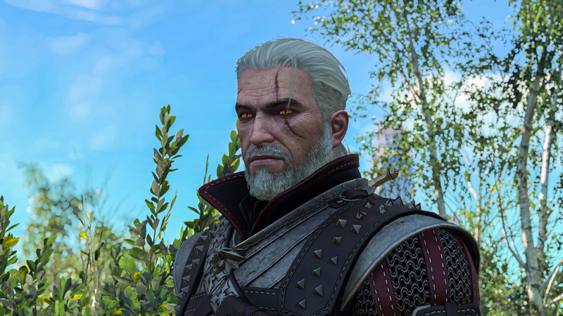 The Witcher 3: Wild Hunt – Hearts Of Stone, The Witcher 3: Wild Hunt 