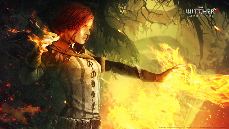 The Witcher 2 Assassins Of Kings, 1080P